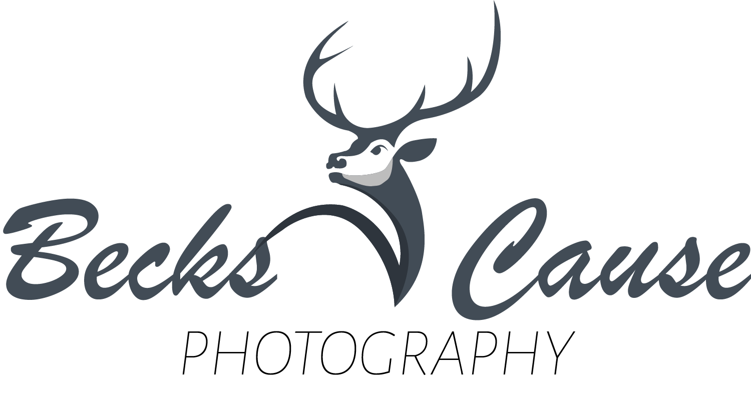 Becks Cause - Logo-8