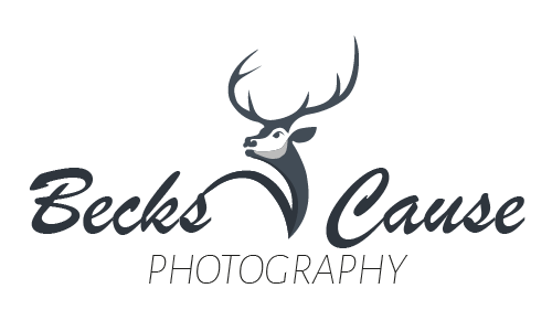 Logo-Becks Cause Photography